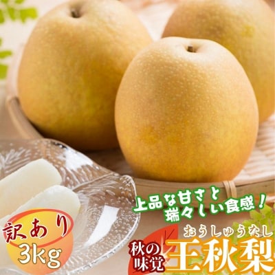 【数量限定】今シーズン発送!【訳あり】 王秋梨 3kg 【2026年1月以降順次発送】