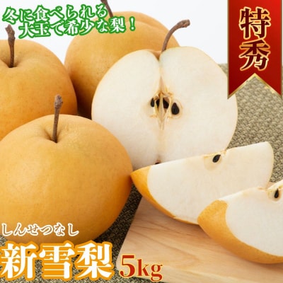 冬に食べられる梨　新雪梨(特秀) 5kg