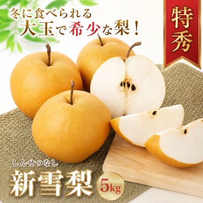 冬に食べられる梨　新雪梨(特秀) 5kg