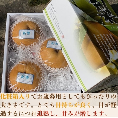 冬に食べられる梨　新雪梨(特秀) 5kg