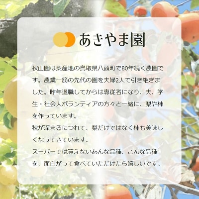 冬に食べられる梨　新雪梨(特秀) 5kg