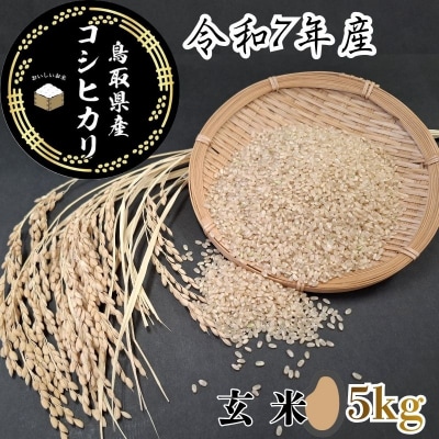 ���挧�Y�u�R�V�q�J���v����5kg(�ߘa7�N�Y)