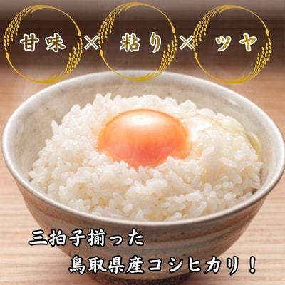 鳥取県産「コシヒカリ」精白米10kg(令和7年産)