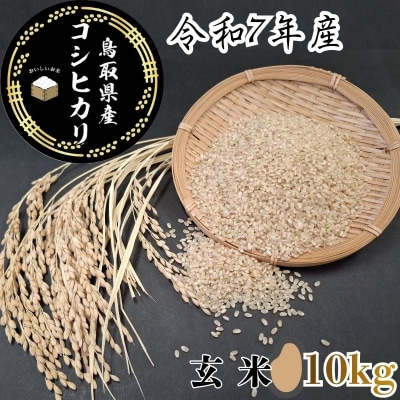 鳥取県産「コシヒカリ」玄米10kg(令和7年産) | 鳥取県八頭町