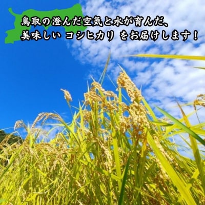 鳥取県産「コシヒカリ」精白米15kg(令和7年産)