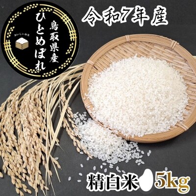 鳥取県産「ひとめぼれ」精白米5kg(令和7年産)