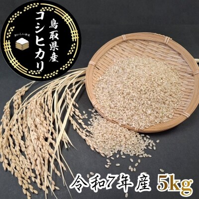鳥取県産「ひとめぼれ」玄米5kg(令和7年産)