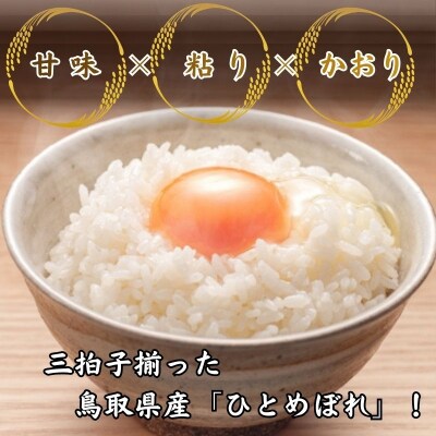 鳥取県産「ひとめぼれ」玄米5kg(令和8年産)