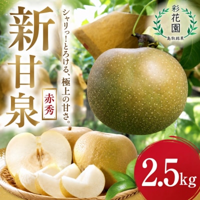【2027年発送分先行受付】新甘泉(赤秀) 2.5kg【彩花園】