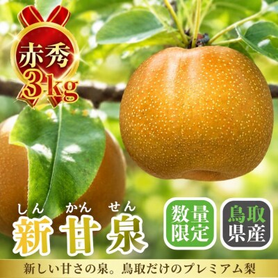 新甘泉(赤秀) 3kg【やまさきファーム】