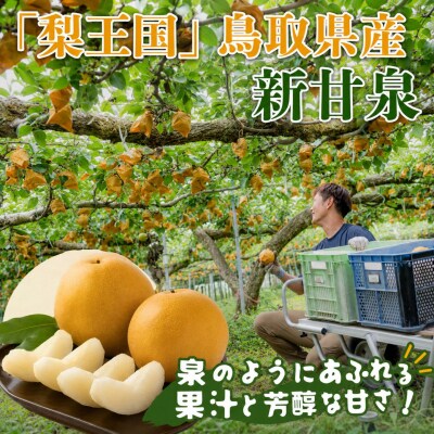 新甘泉(赤秀) 3kg【やまさきファーム】