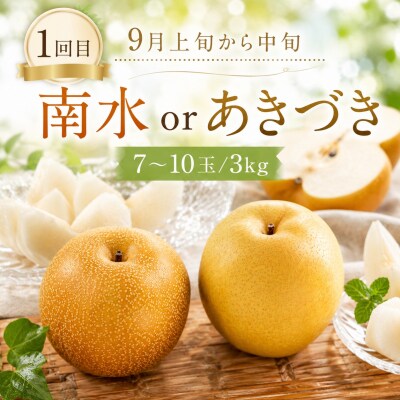 【梨王国鳥取県産!】赤梨の定期便《2026年 計3回お届け》鳥取県 八頭町