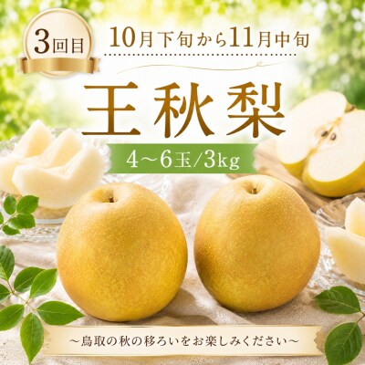 【梨王国鳥取県産!】赤梨の定期便《2026年 計3回お届け》鳥取県 八頭町