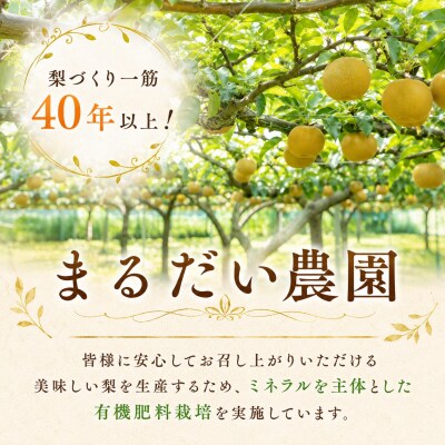 新興梨(赤秀)5kg《冬支度前の旬な贈り物》鳥取県 八頭町