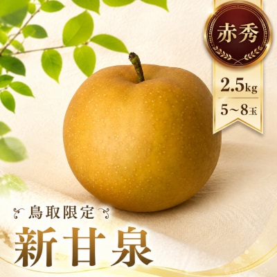 新甘泉(赤秀) 2.5kg【鳥取限定の希少な品種!】