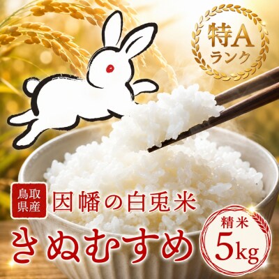 因幡の白兎米 きぬむすめ 令和8年産 精米済 5kg