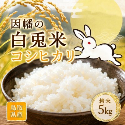 因幡の白兎米 コシヒカリ 令和8年産 精米済 5kg