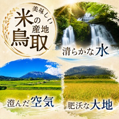 因幡の白兎米 コシヒカリ 令和8年産 精米済 5kg