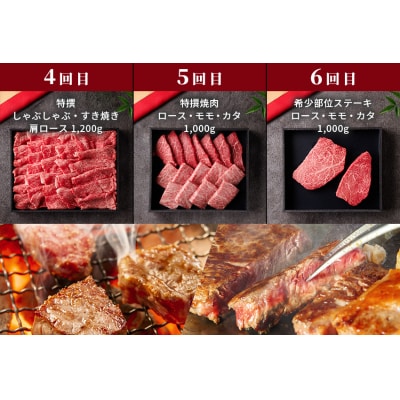 【和牛セレブ】鳥取和牛 定期便 プラチナクラス
