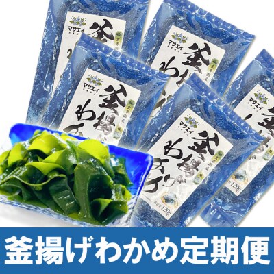 【定期便/年6回/奇数月お届け】釜揚げ塩蔵わかめ(120g×5パック)【マサエイ水産】_HB0097
