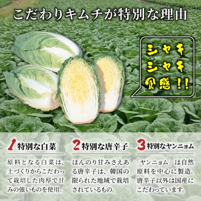 信州望月高原こだわりキムチ 6個セット