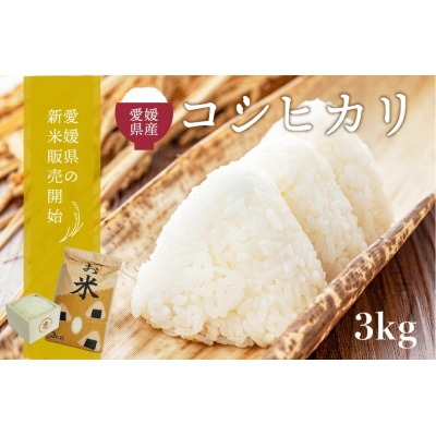 愛媛県西予市産　お米コシヒカリ3kg