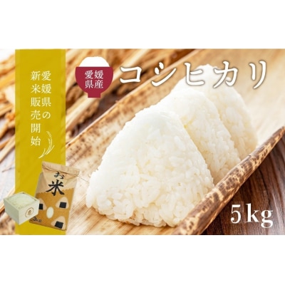 愛媛県西予市産　お米コシヒカリ5kg