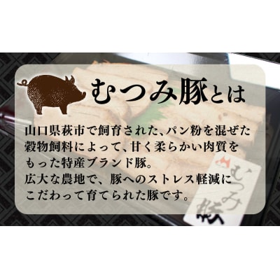 むつみ豚 自家製焼豚 計400g 冷凍 真空 個包装 モモ バラ 各 200g FI004