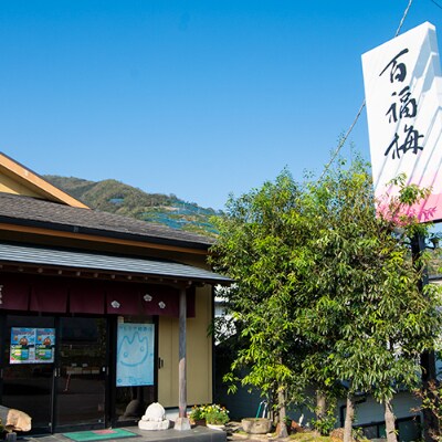 紀州の梅干　うす塩味梅(紀州南高梅/500g)化粧箱入り　塩分10%