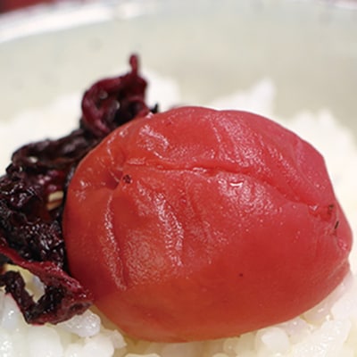 紀州の梅干　紫蘇漬け梅(紀州南高梅/500g)化粧箱入り　塩分15%