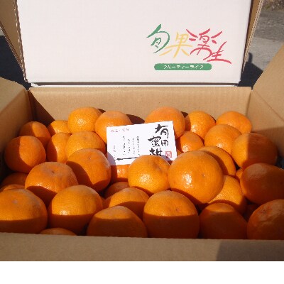 有田みかん しにせの味(3kg)