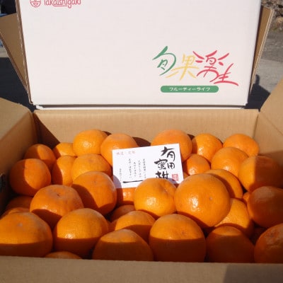 有田みかん　しにせの味(2.5kg)