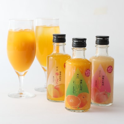 紀州のドリンク10本セット