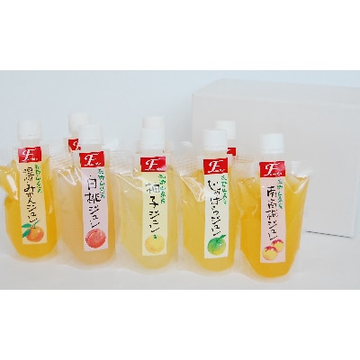 飲むフルーツジュレ2セット組