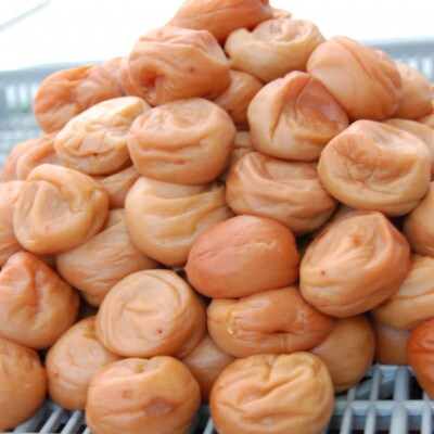 紀州南高梅　うす塩味梅　10kg【塩分6%】