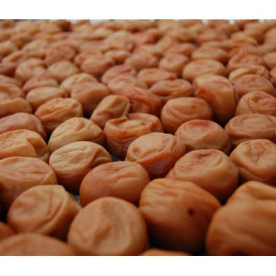 紀州南高梅　はちみつ漬け梅　10kg【塩分10%】
