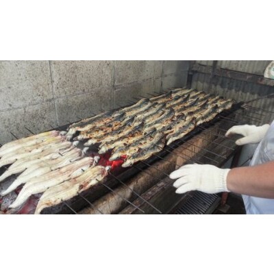 紀州備長炭　炭焼うなぎ蒲焼1本(特大)　炭焼きも串セット