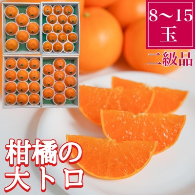 傷あり『柑橘の大トロ』ハウスせとか8～15玉入　和歌山県有田川町産
