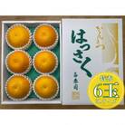 手詰め有田はっさく大玉3L×6玉入 和歌山県有田川町産