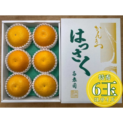 手詰め有田はっさく大玉3L×6玉入　和歌山県有田川町産