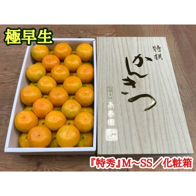 【南泰園の極早生・有田みかん】『特秀』M～SSサイズ約3kg/化粧箱　和歌山県有田川町産