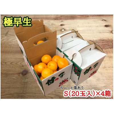 【南泰園の極早生・有田みかん】『傷あり』S20玉入×4箱　和歌山県有田川町産