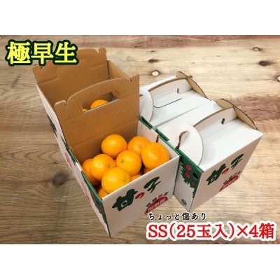 【南泰園の極早生・有田みかん】『傷あり』SS25玉入×4箱　和歌山県有田川町産