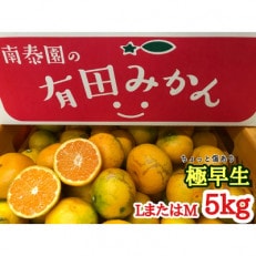 【南泰園の極早生・有田みかん】『傷あり』LまたはMサイズ/5kg 和歌山県有田川町産