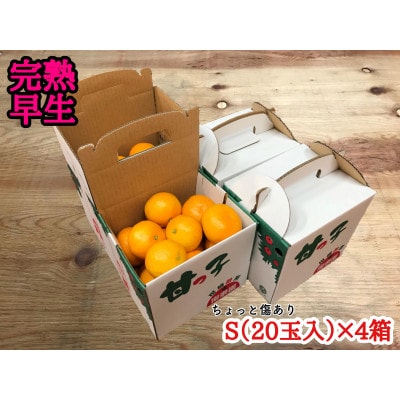 年内発送 手さげ箱 ちょっと傷あり 完熟早生 有田みかん S20玉入×4箱 和歌山県 有田川町 産