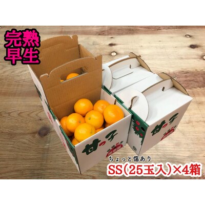 年内発送 手さげ箱 ちょっと傷あり 完熟早生 有田みかん SS25玉入×4箱 和歌山県 有田川町 産