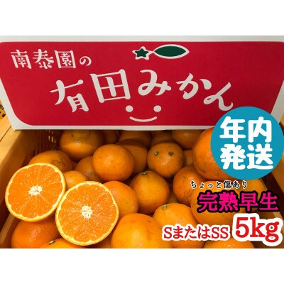 年内発送 ちょっと傷あり 完熟早生 有田みかん SまたはSS 和歌山県 有田川町 産