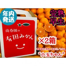 年内発送 完熟早生 有田みかん 小玉ちゃん/等級混合 2.2kg &times; 2箱 和歌山県 有田川町 産