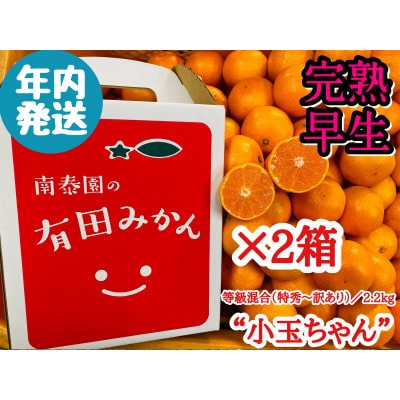 年内発送 完熟早生 有田みかん 小玉ちゃん/等級混合 2.2kg × 2箱 和歌山県 有田川町 産