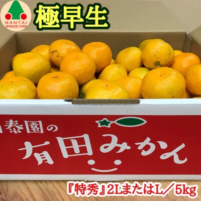【南泰園の極早生・有田みかん】『特秀』大玉2LまたはLサイズ/5kg　和歌山県有田川町産